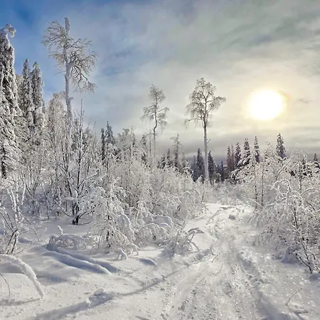 Ukkis & Safaris Ukkohalla